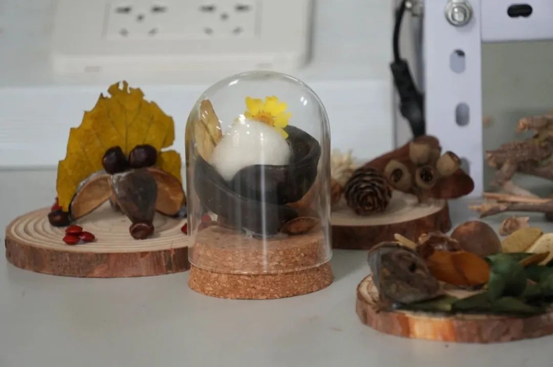 西双版纳望天树景区