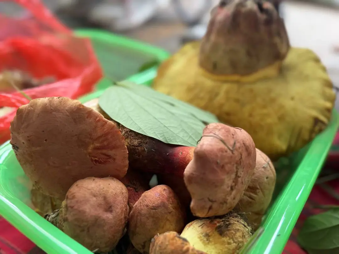 晋宁 诗意的栖居地