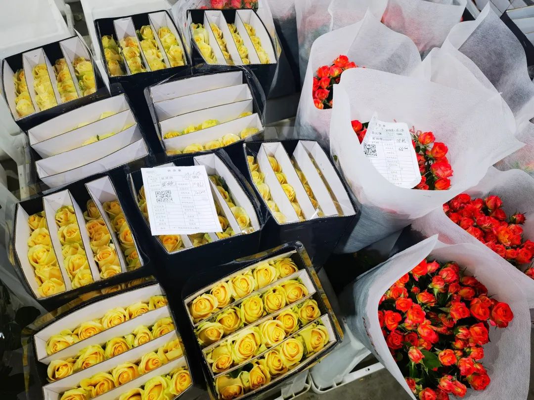 晋宁 诗意的栖居地