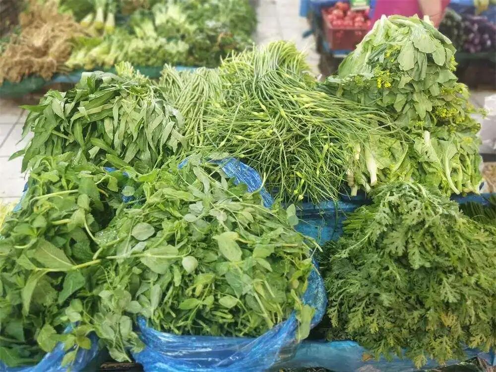 昆明公共文化云