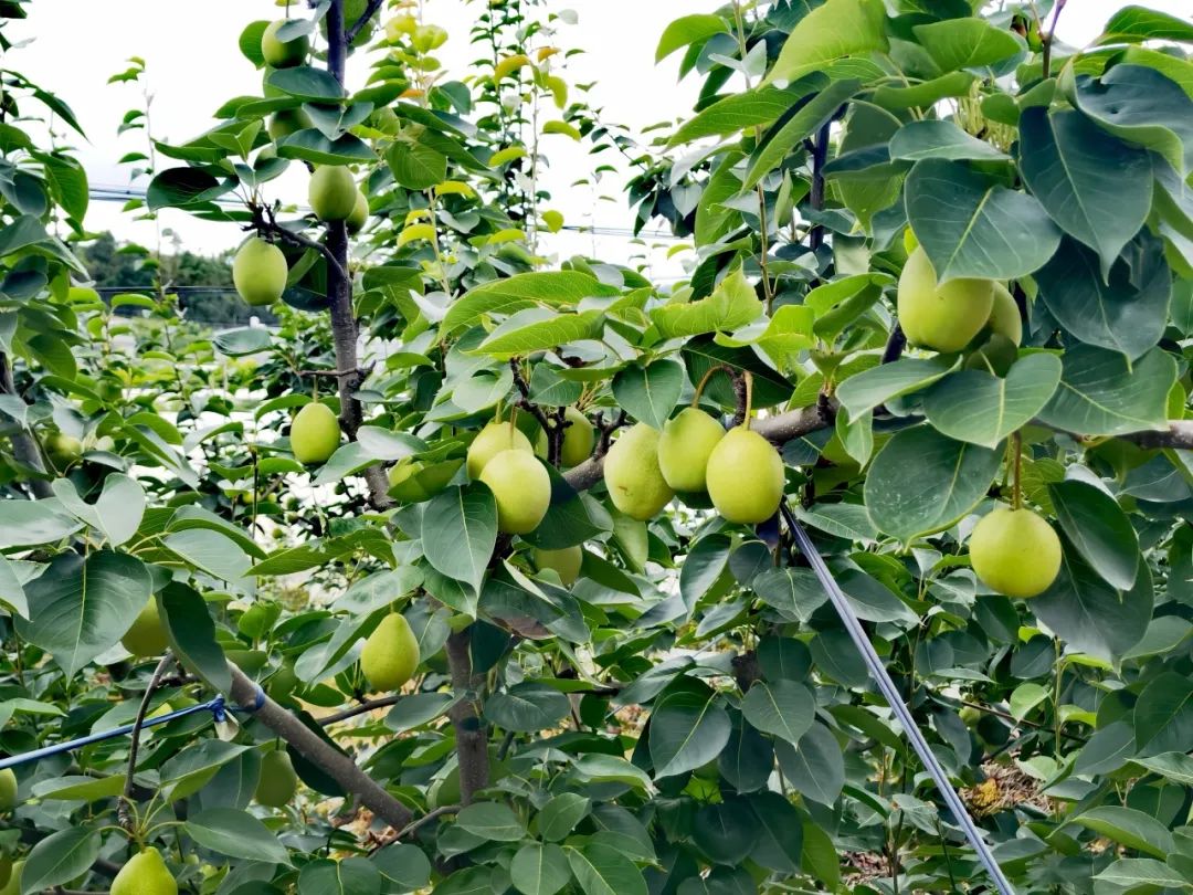 晋宁 诗意的栖居地