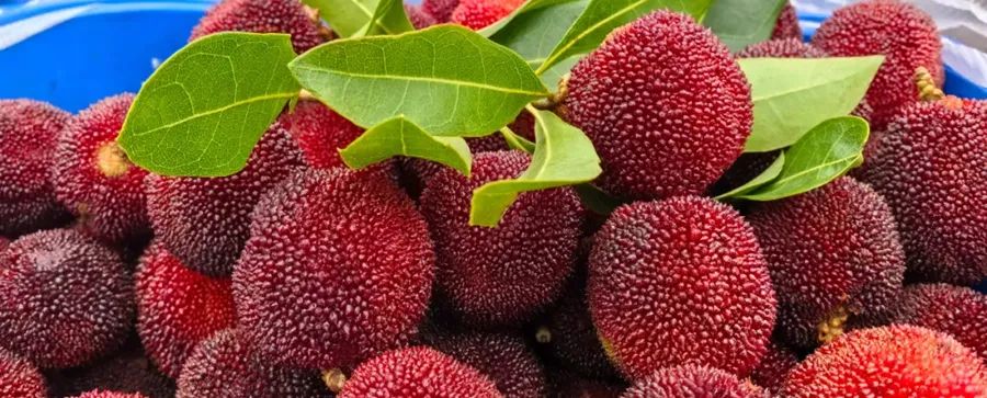 昆明阳宗海风景名胜区