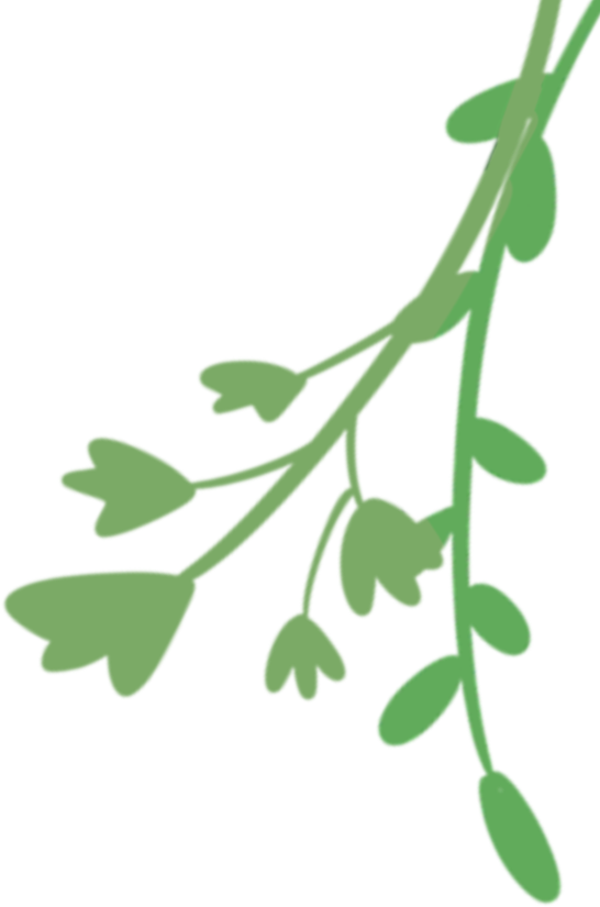 云南省中医医院