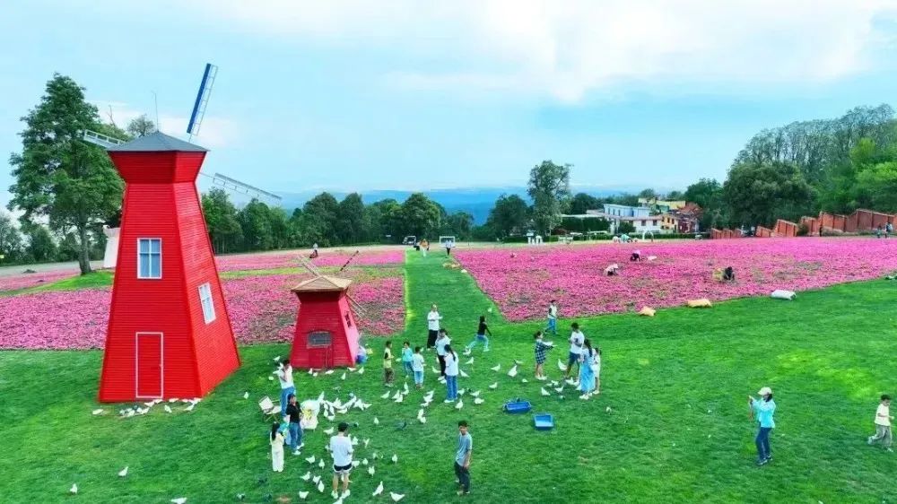 文旅云南
