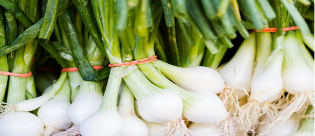 昆明市中医医院