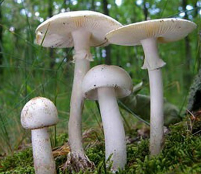 悦读嵩明