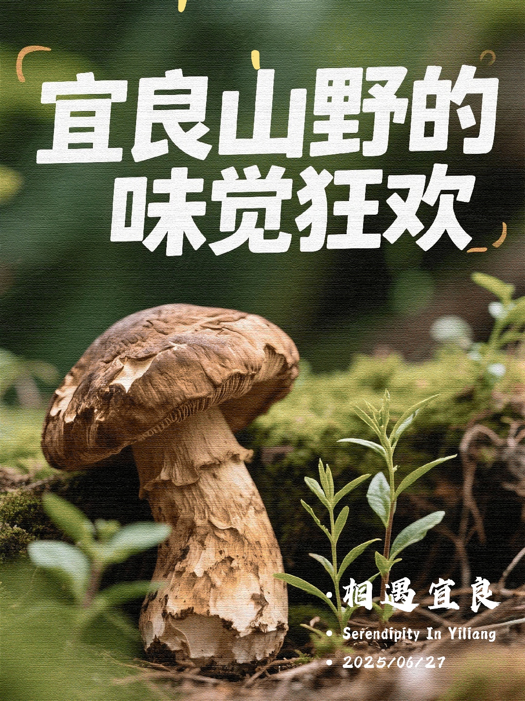 宜良之窗