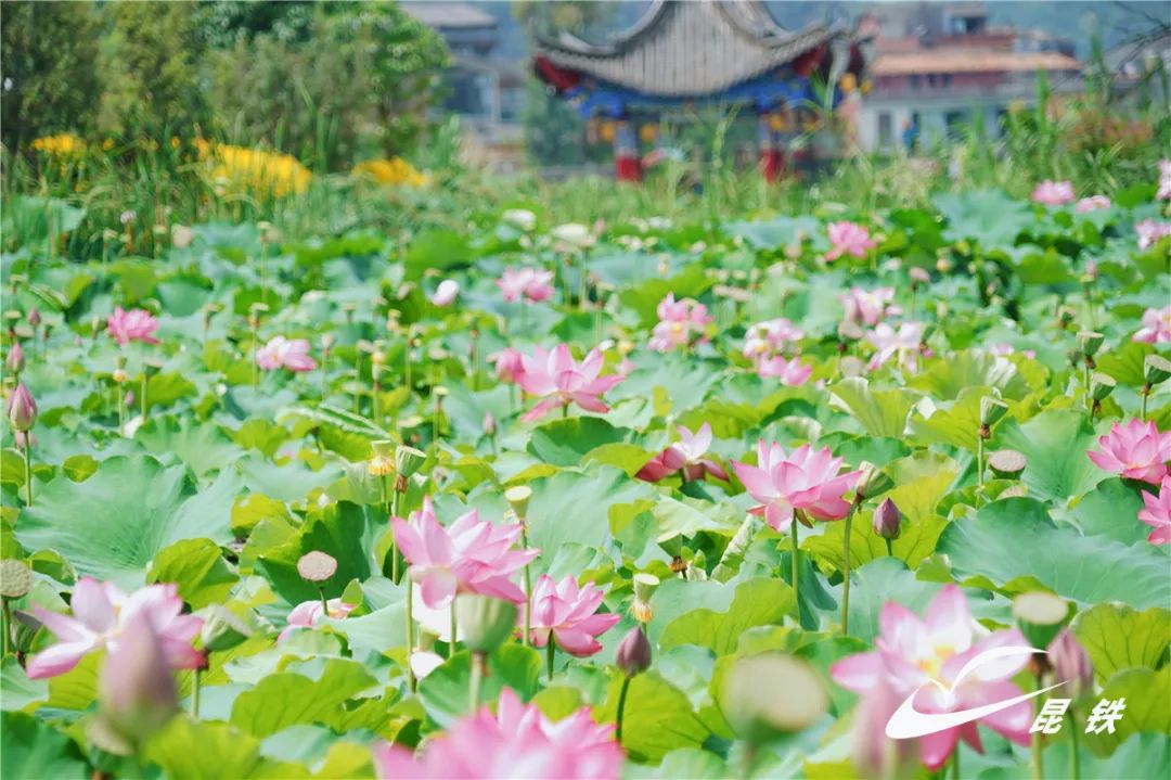 昆明铁路