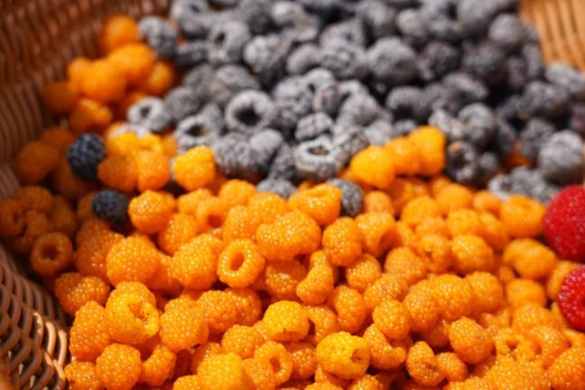 昆明阳宗海风景名胜区