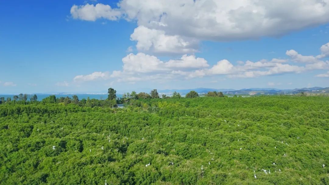晋宁 诗意的栖居地