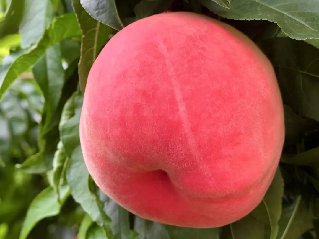 晋宁 诗意的栖居地