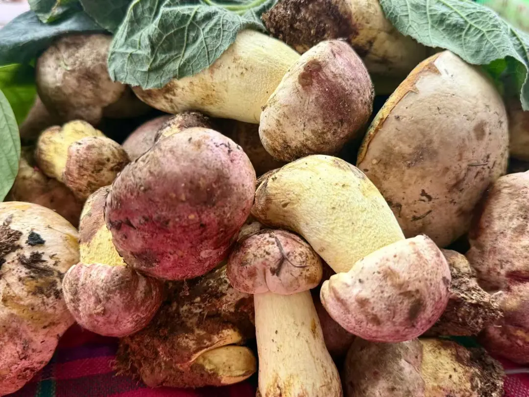 晋宁 诗意的栖居地