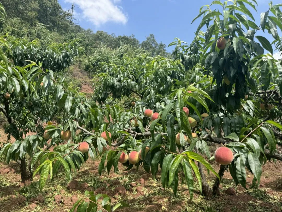 晋宁 诗意的栖居地