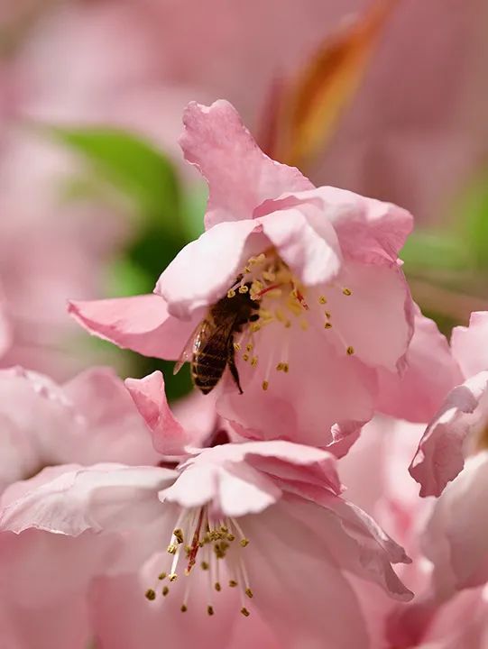 昆明市妇幼保健院
