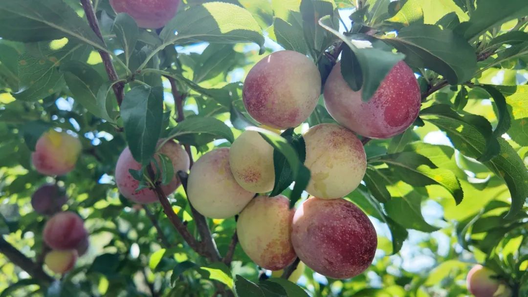 晋宁 诗意的栖居地
