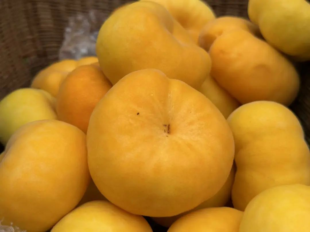 晋宁 诗意的栖居地