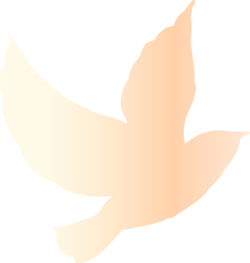 云南省招生考试院