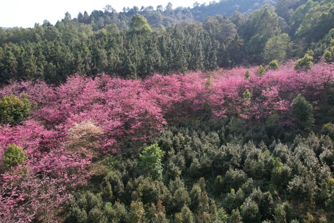 红河文旅