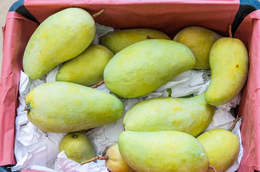 晋宁 诗意的栖居地