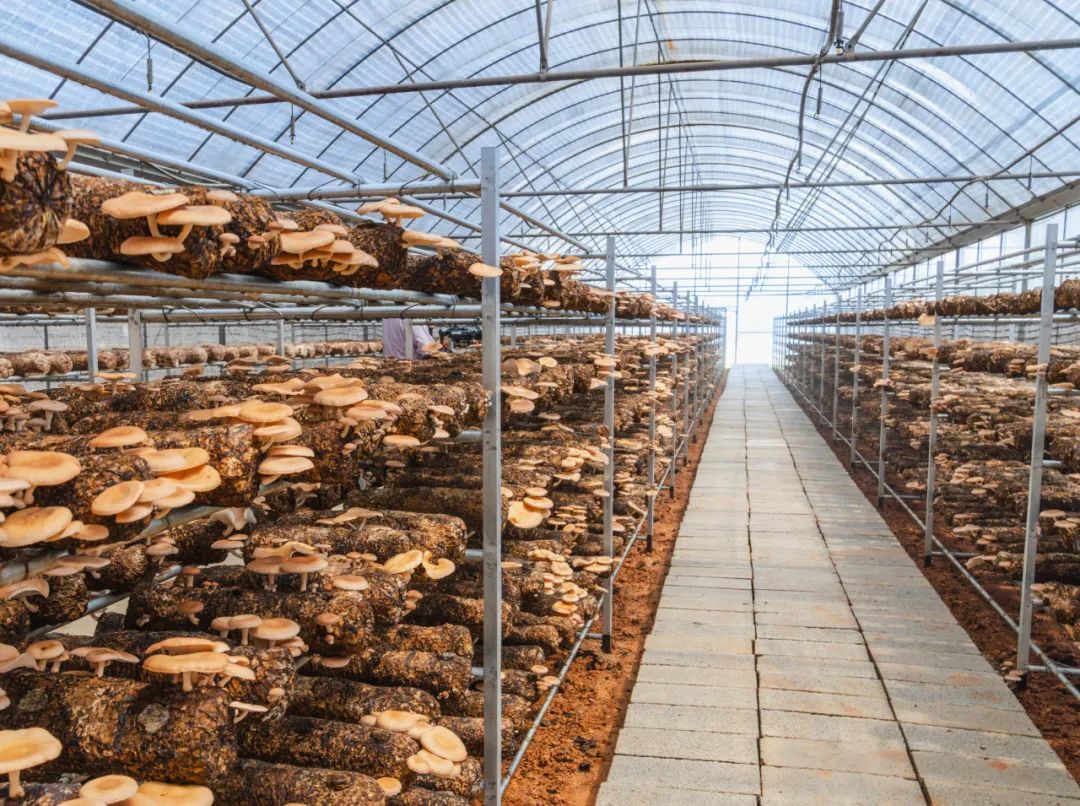 晋宁 诗意的栖居地