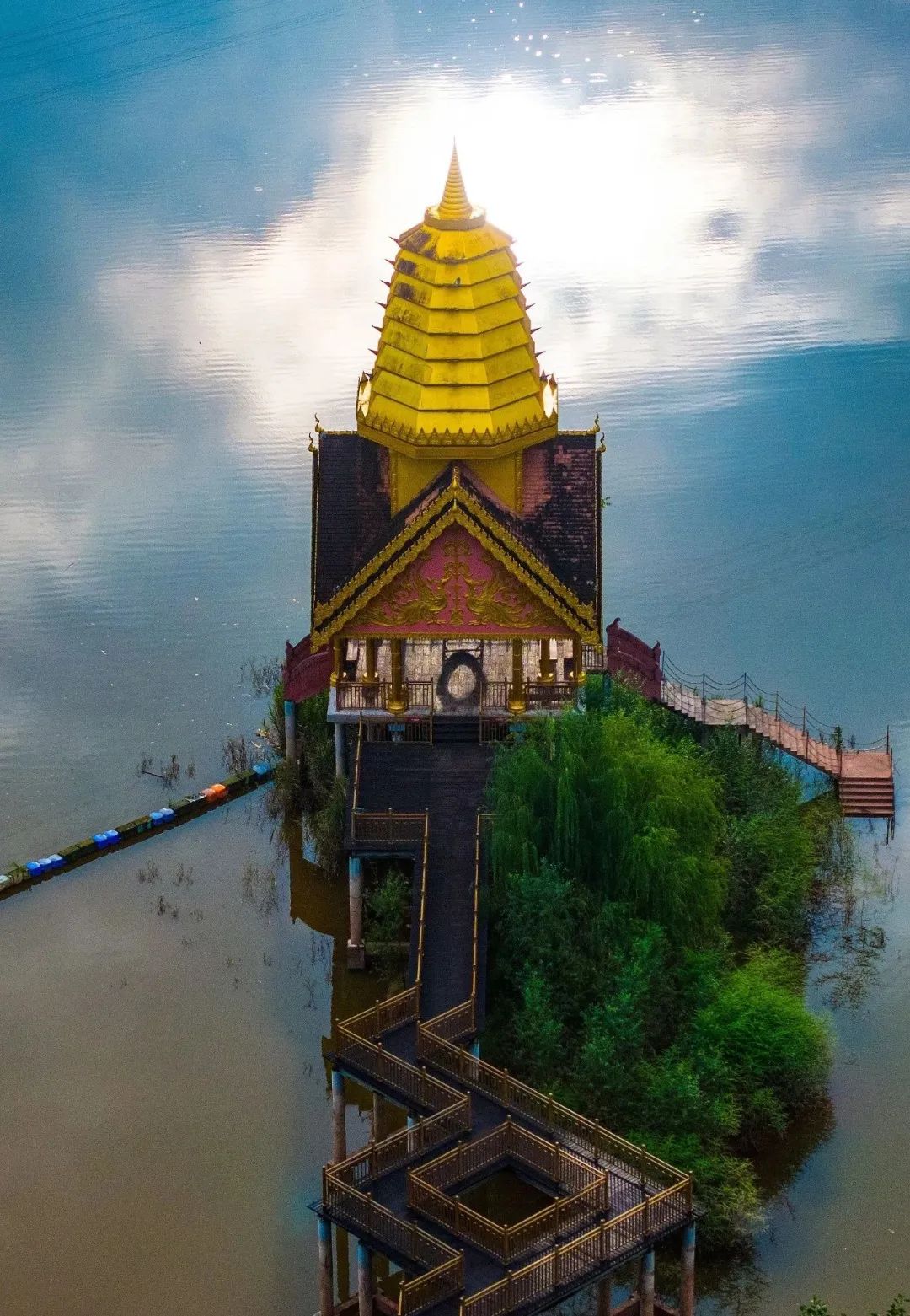 西双版纳望天树景区