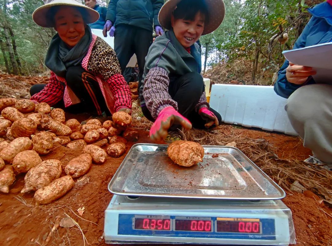 昆明国家高新区发布