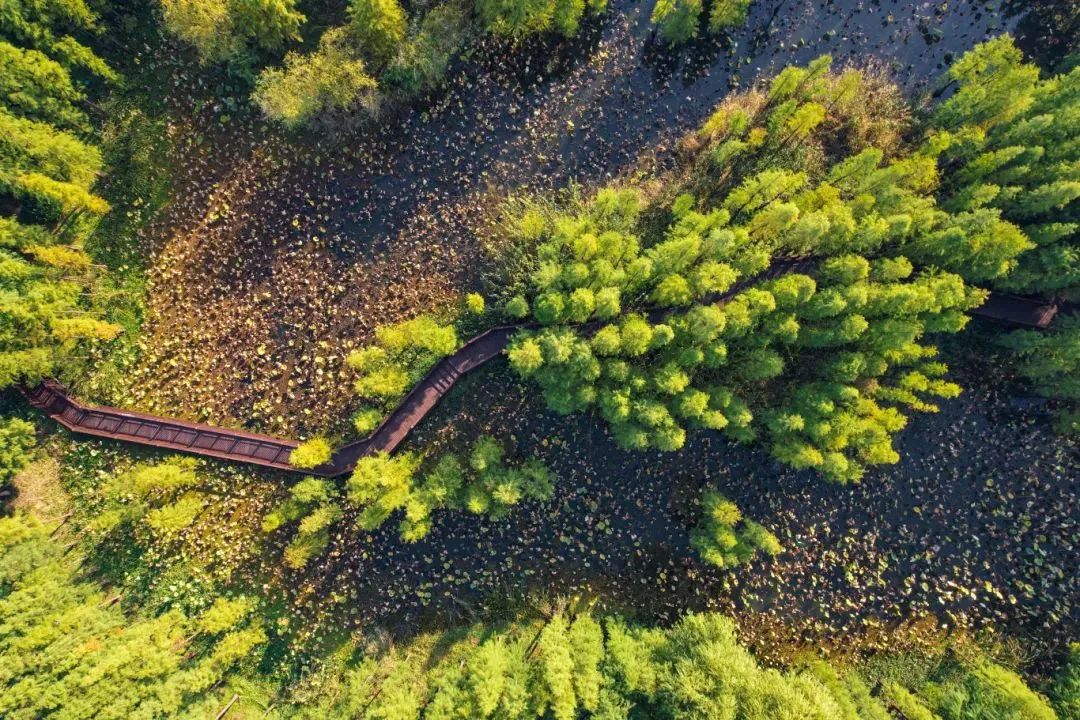 云南广播电视台