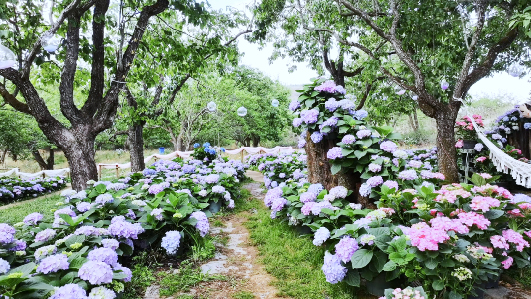 昆明文旅