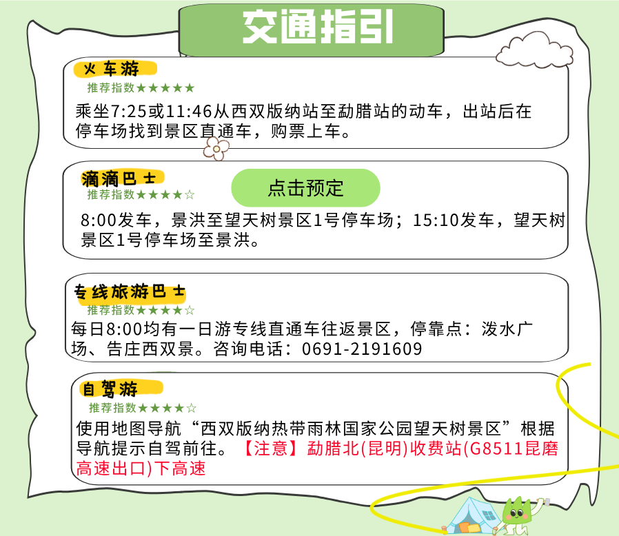 西双版纳望天树景区