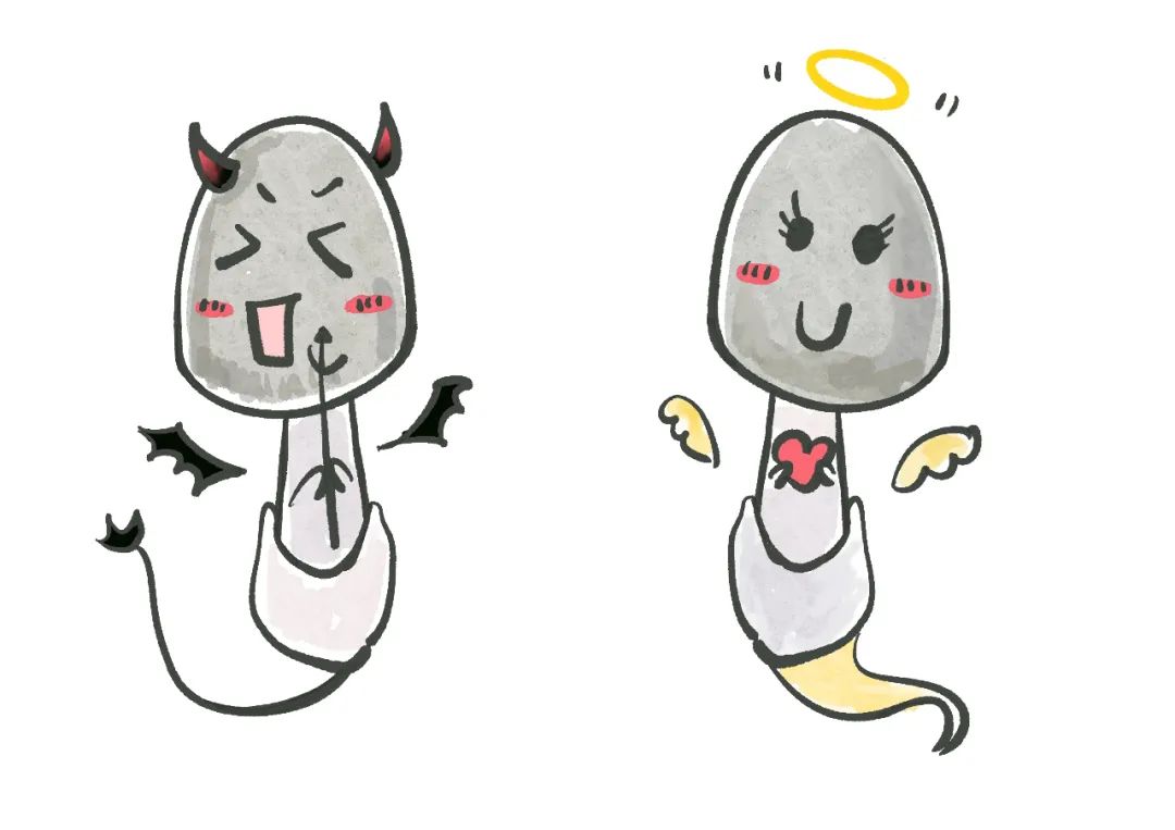 云南省第一人民医院