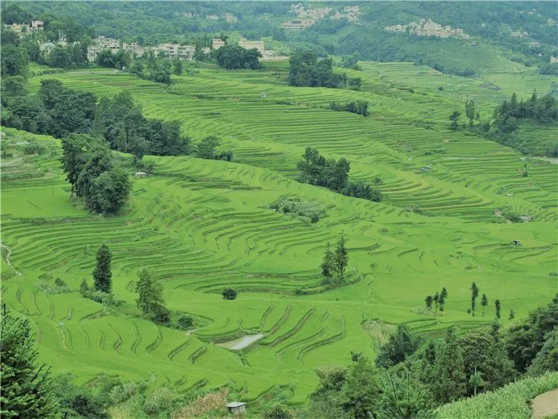 红河文旅