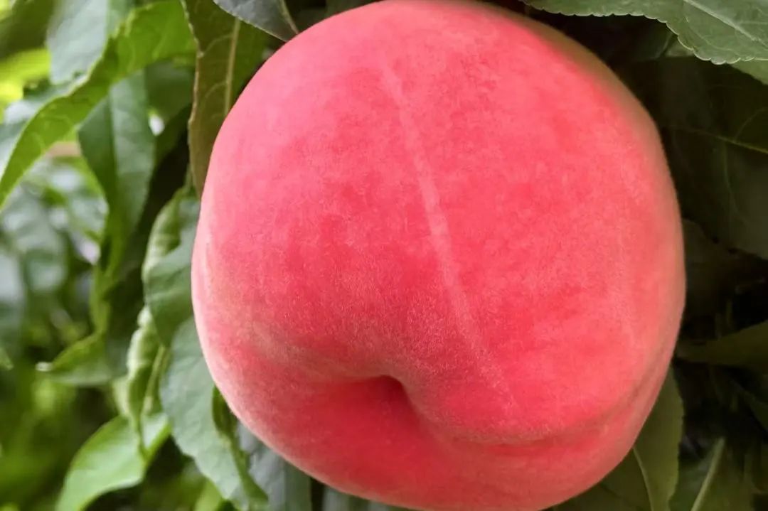 晋宁 诗意的栖居地