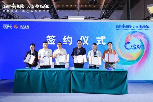 云南省人民政府