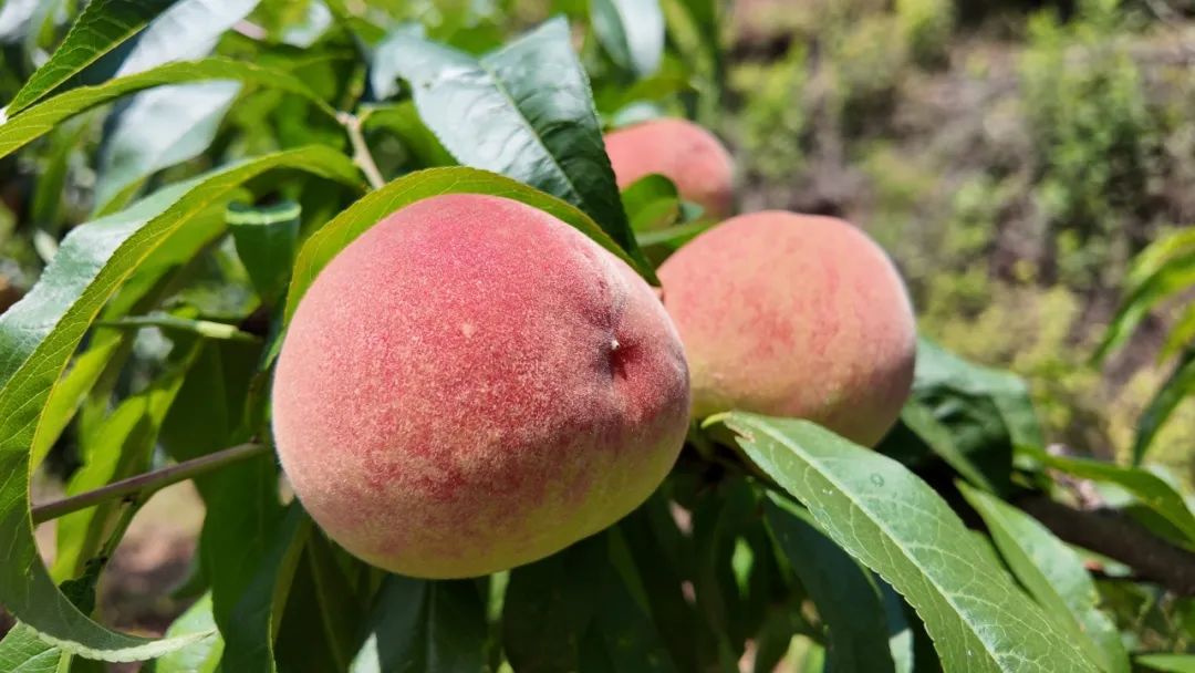 晋宁 诗意的栖居地