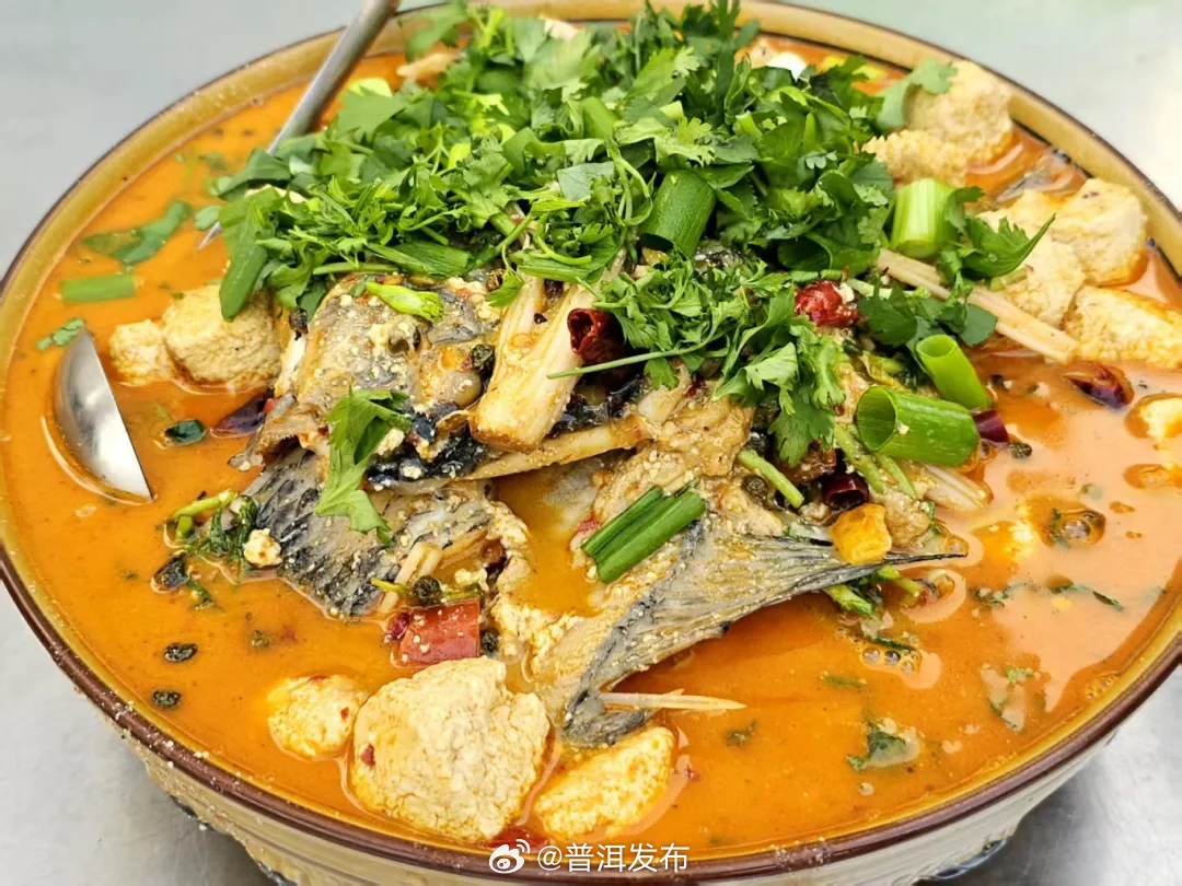 来普洱，做一个“臭宝”🥰~