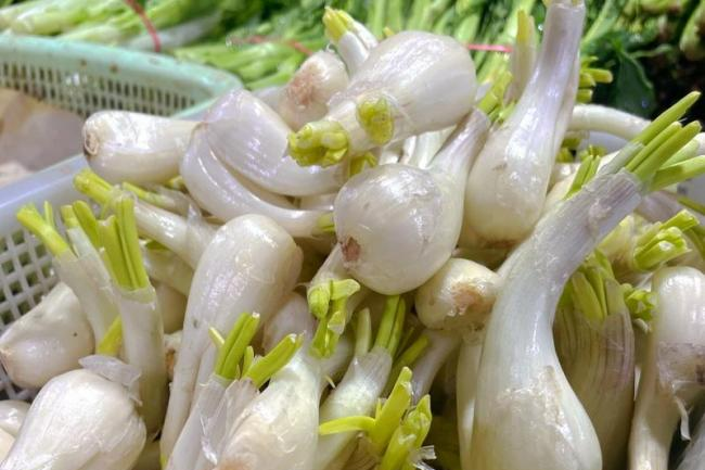 昆明市中医医院