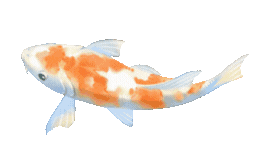 昆明市中医医院