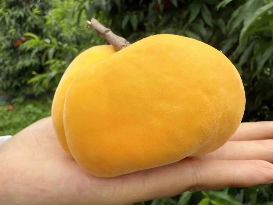 晋宁 诗意的栖居地