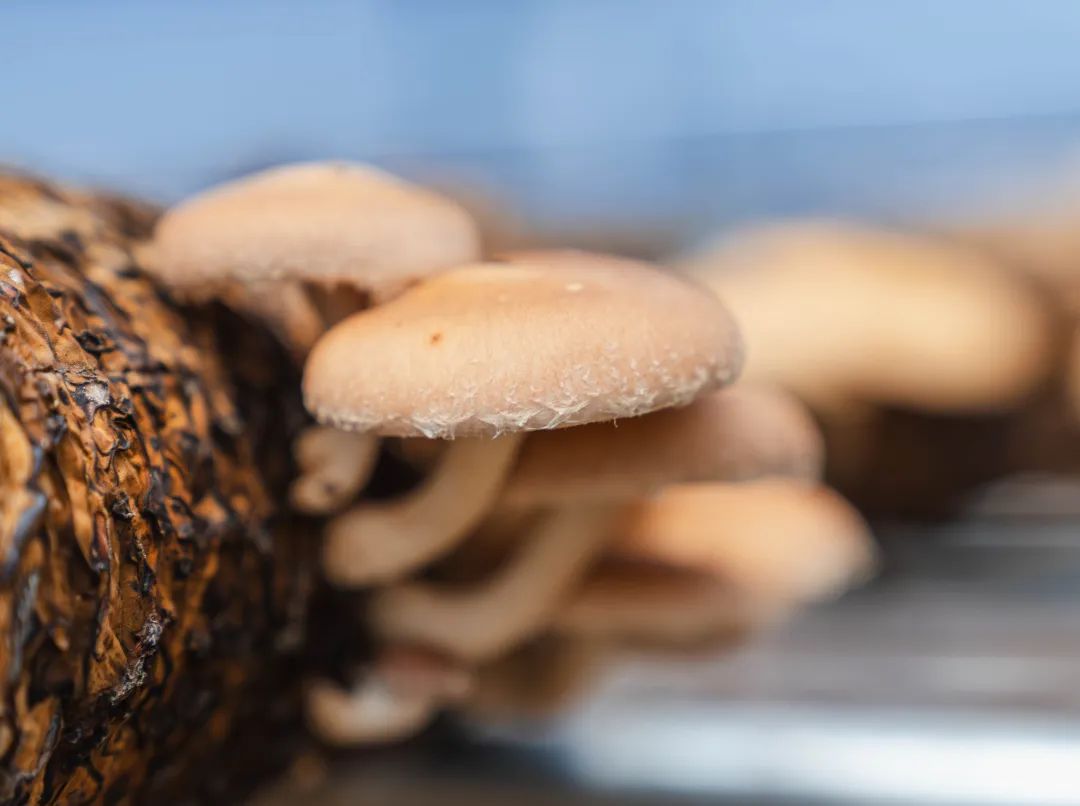 晋宁 诗意的栖居地