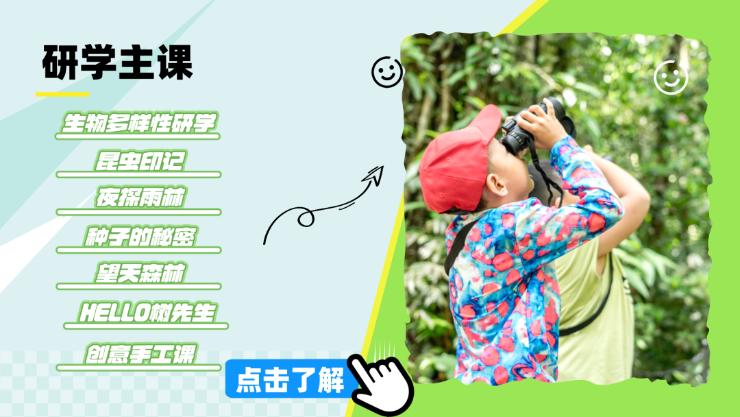 西双版纳望天树景区