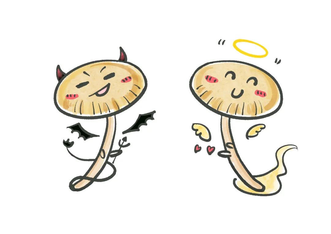 云南省第一人民医院