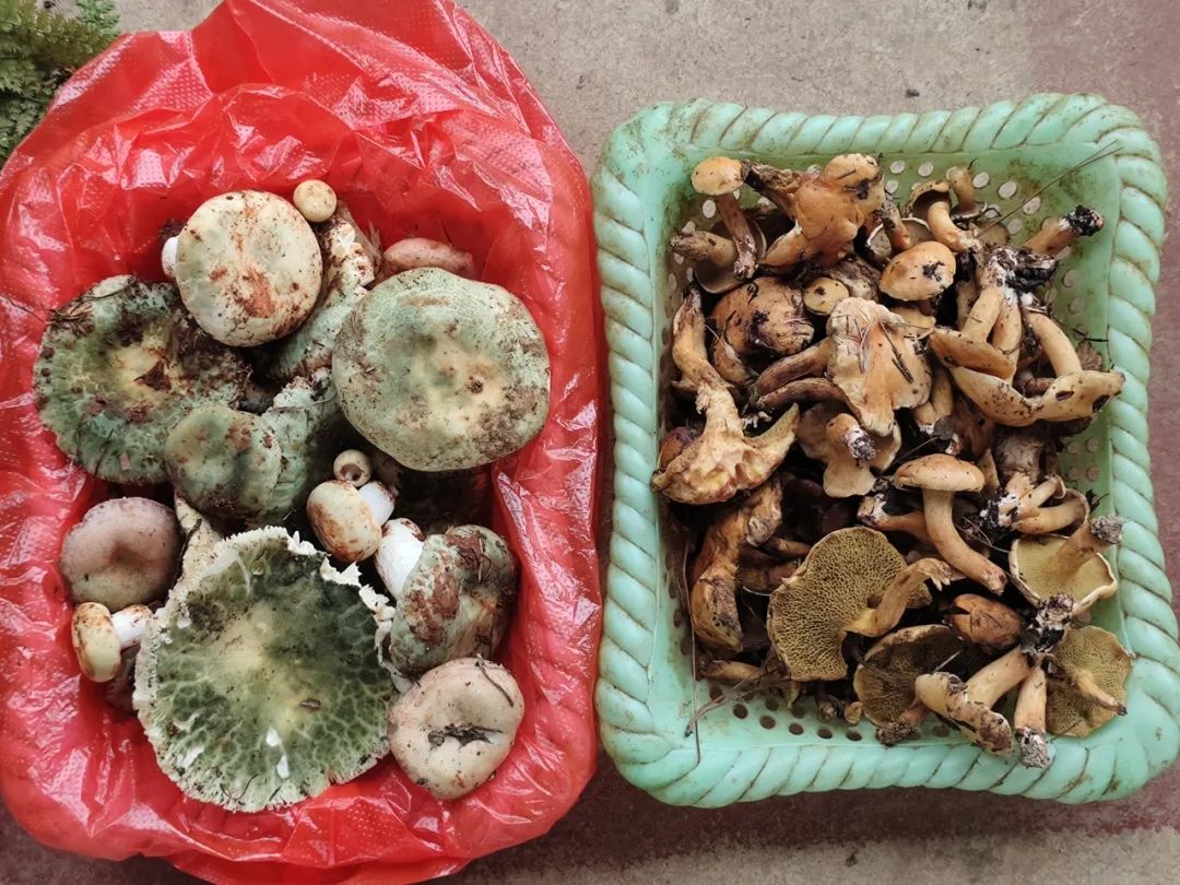 晋宁 诗意的栖居地