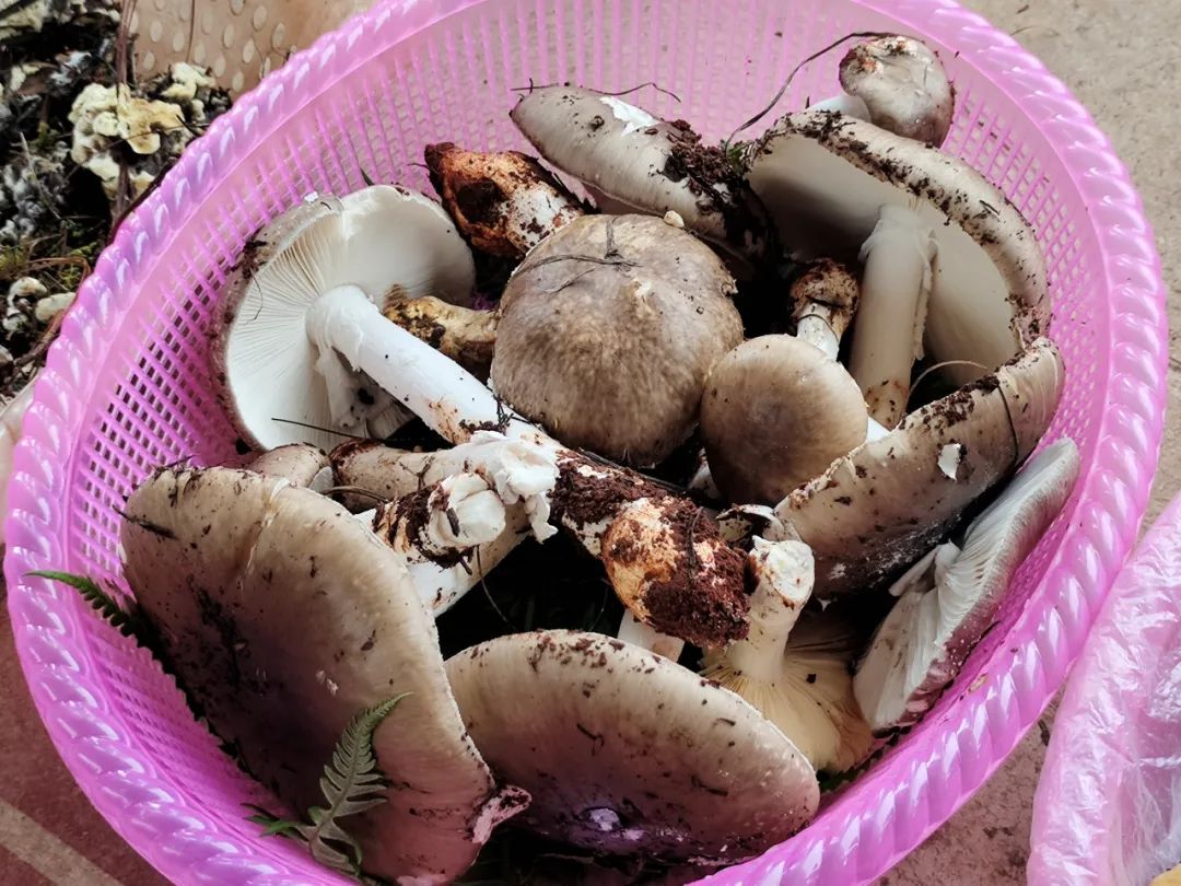 晋宁 诗意的栖居地