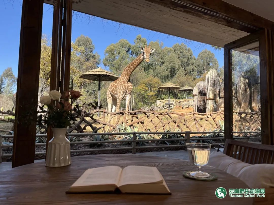 云南野生动物园