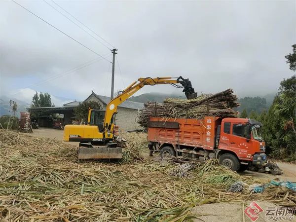 美丽云南微科普