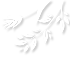 昆明市妇幼保健院