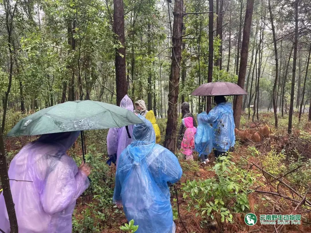 云南野生动物园