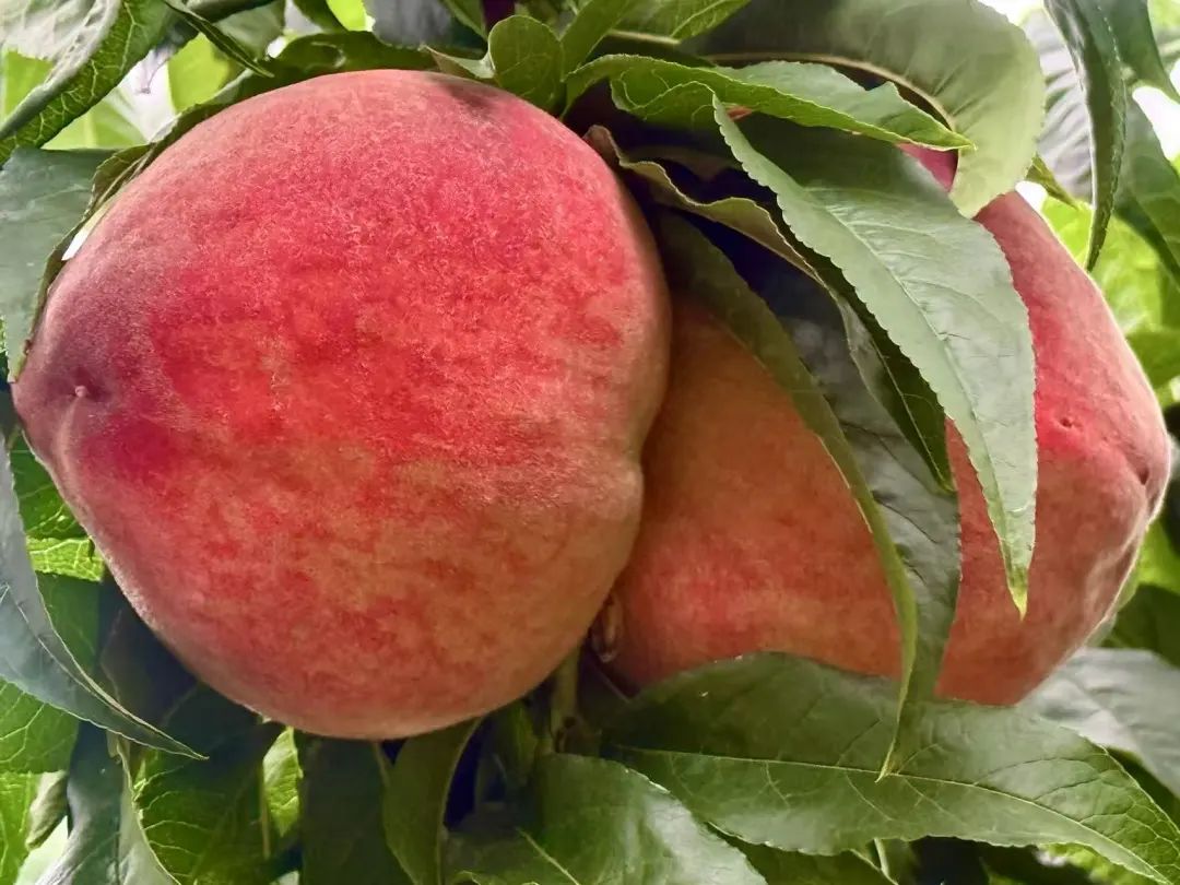 晋宁 诗意的栖居地