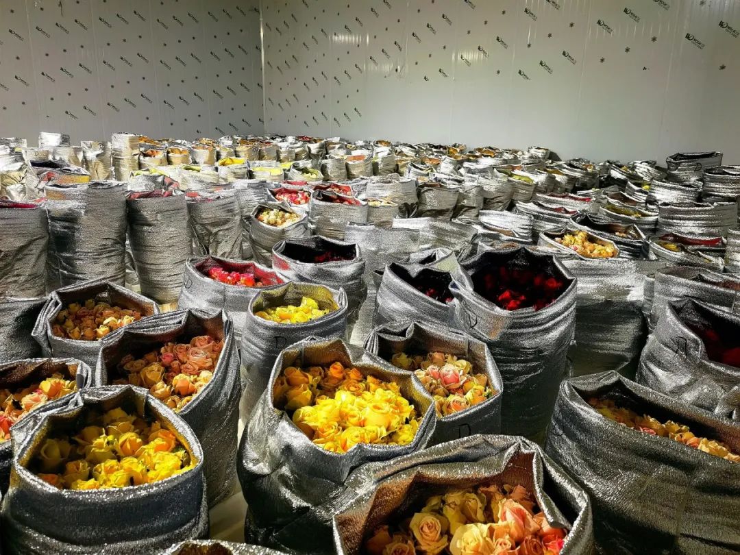 晋宁 诗意的栖居地