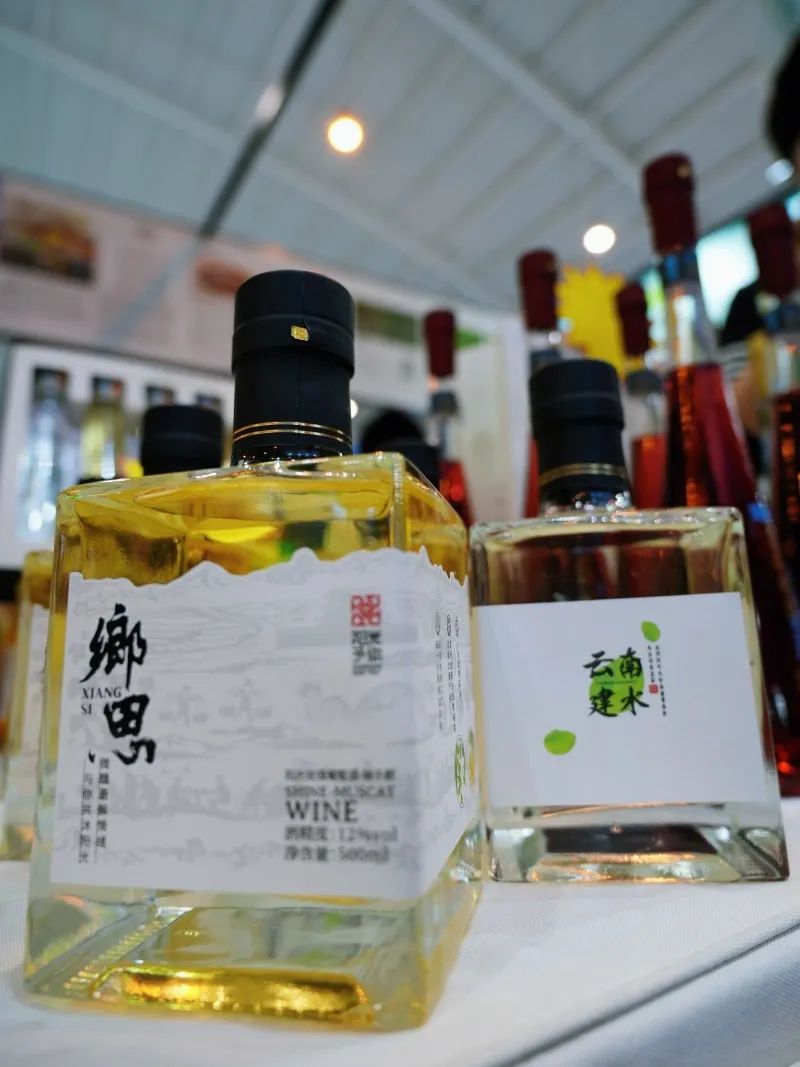 红河文旅